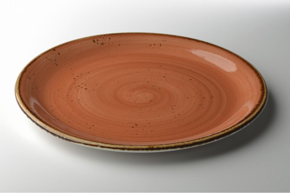 Photo of a Ceramic Dinner Plate