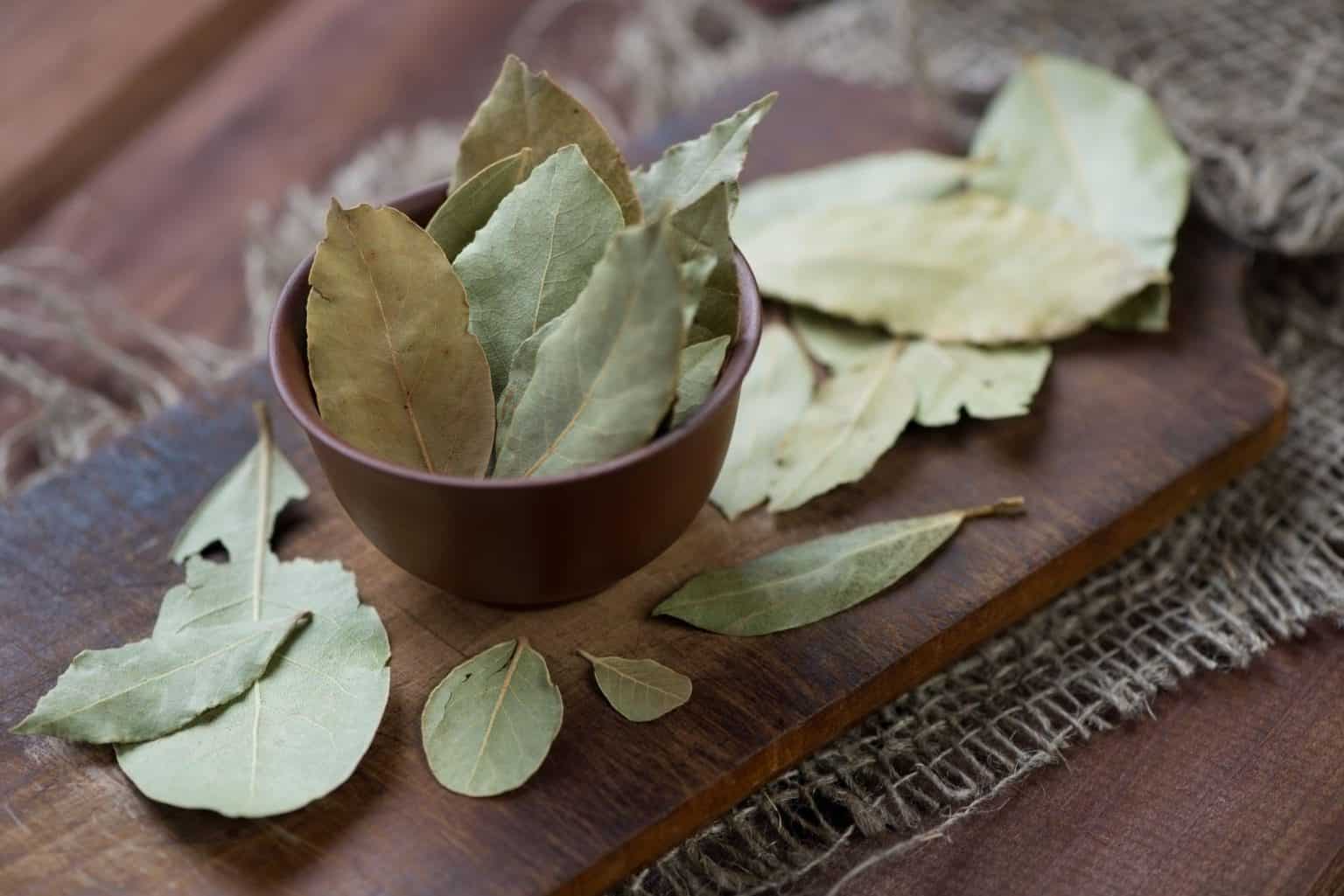 How To Dry Bay Leaves In Your Oven