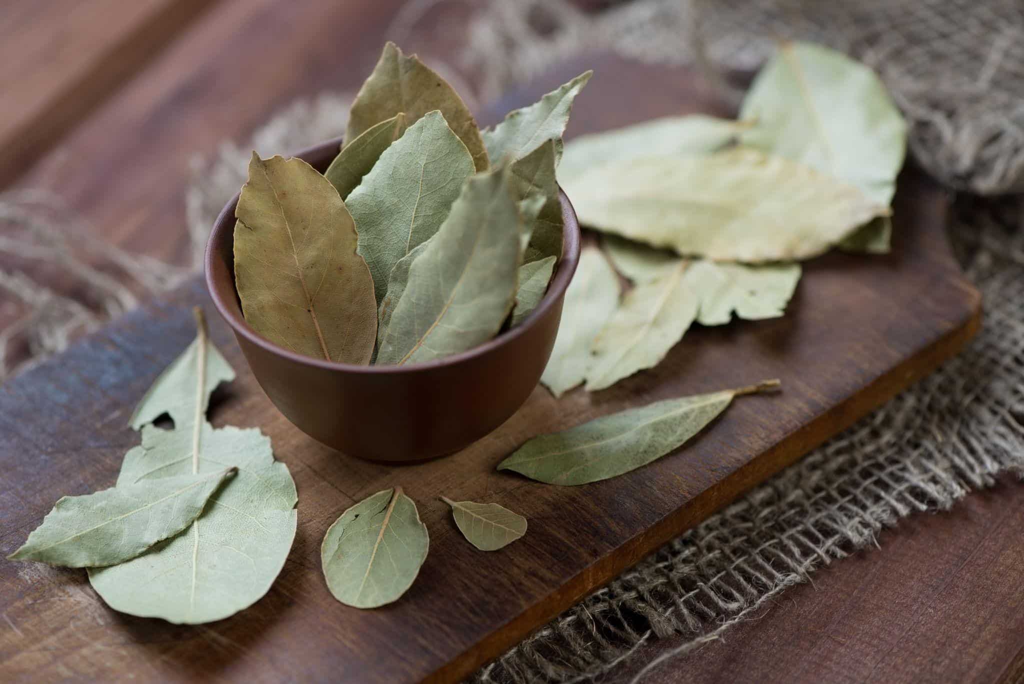 Photo of Dried Bay Leaves on a Table