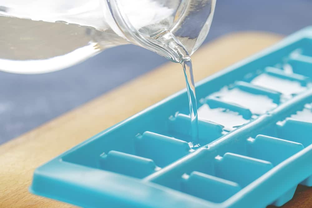 Photo of a plastic ice cube tray