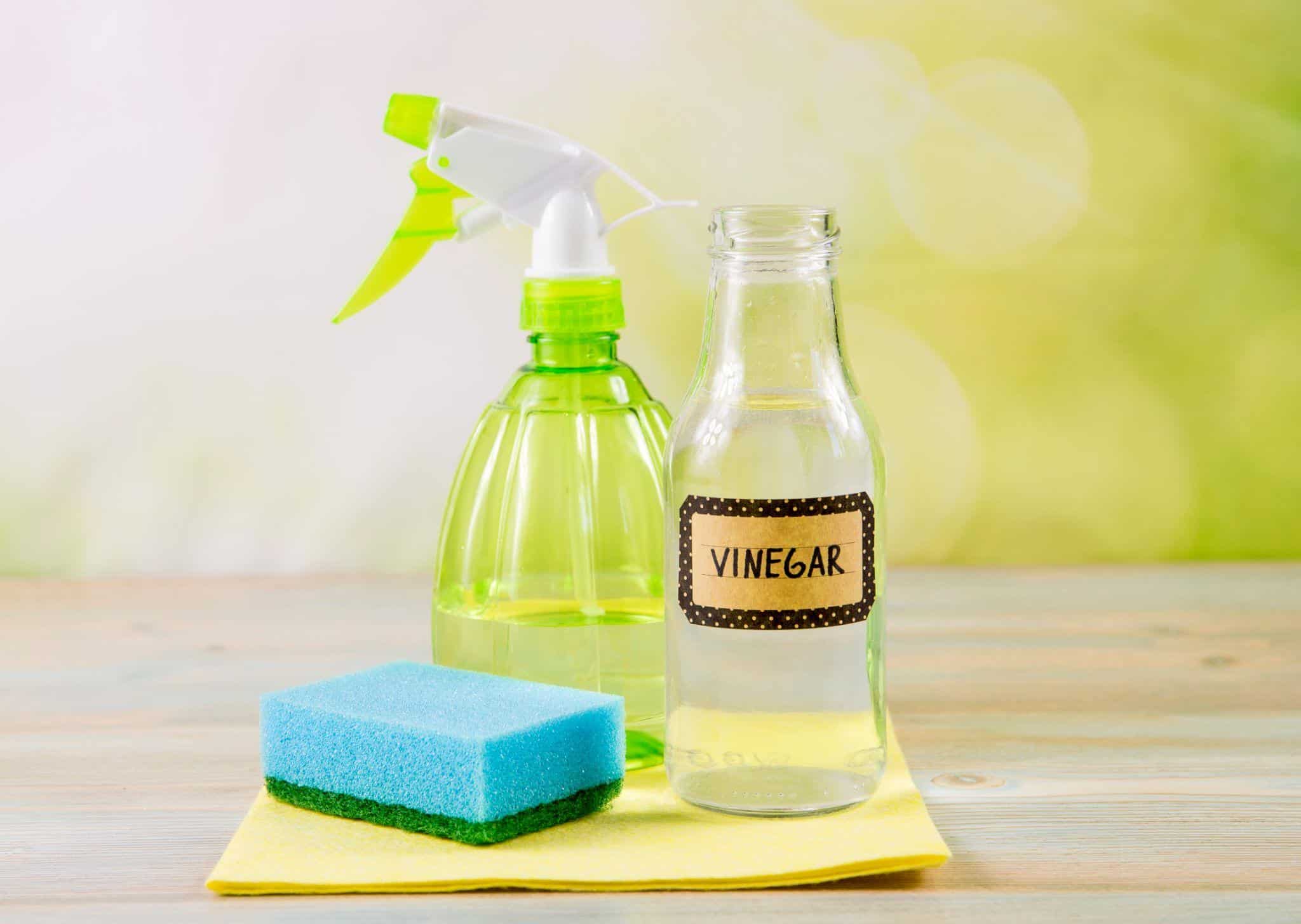 Photo of vinegar and a sponge