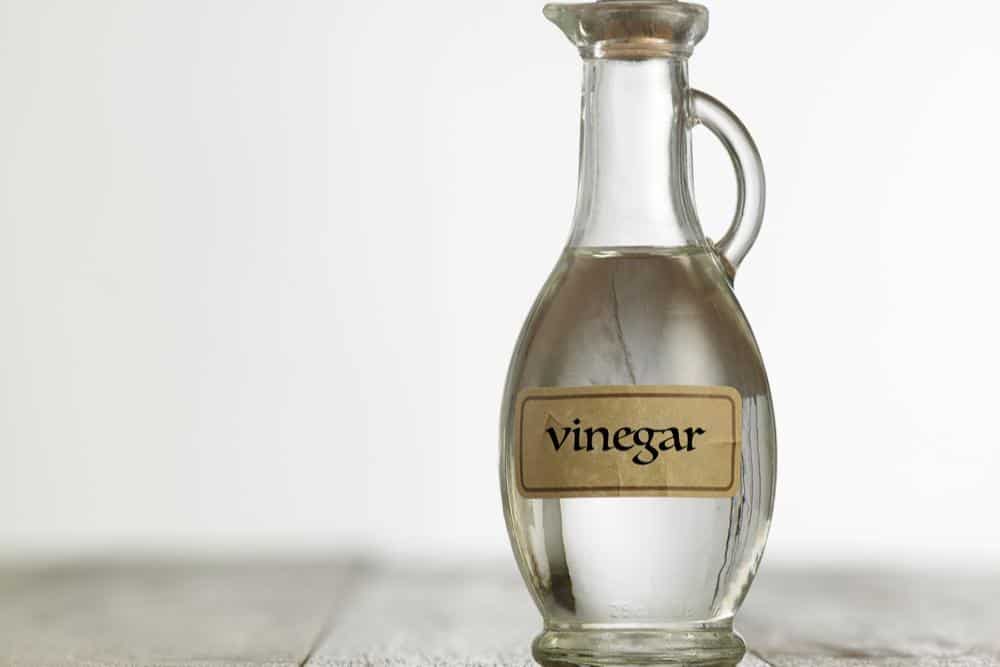 Photo of Vinegar to be used for cleaning