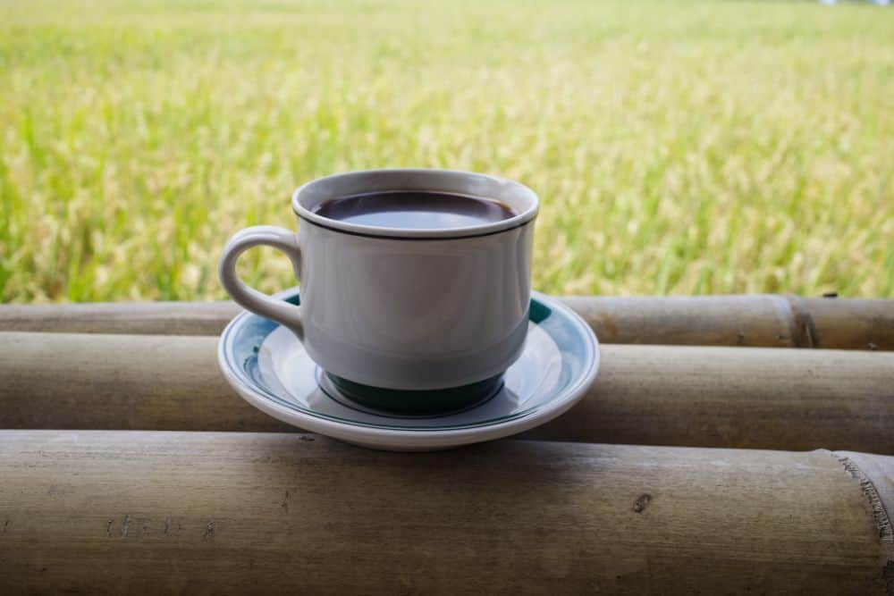 Do I Put Cold Or Hot Water In A Filter Coffee Machine 