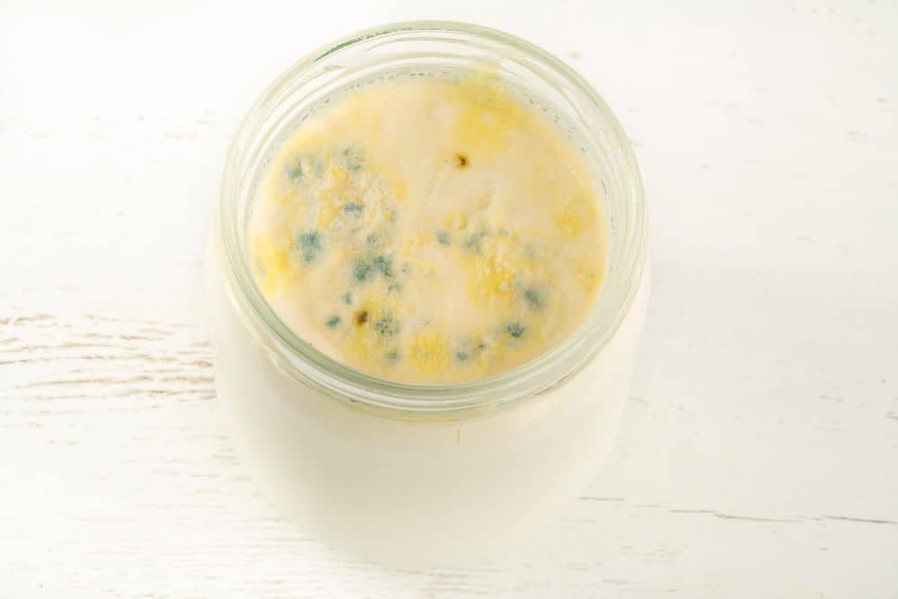 Photo of Mold Spores on Yogurt in a Glass Container