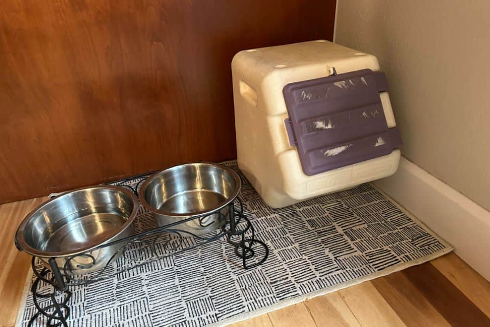 Two airtight dog bowls on a rug in front of a door.